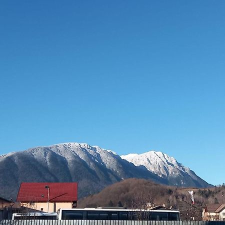Piatra Craiului Residence Zarnesti Luaran gambar