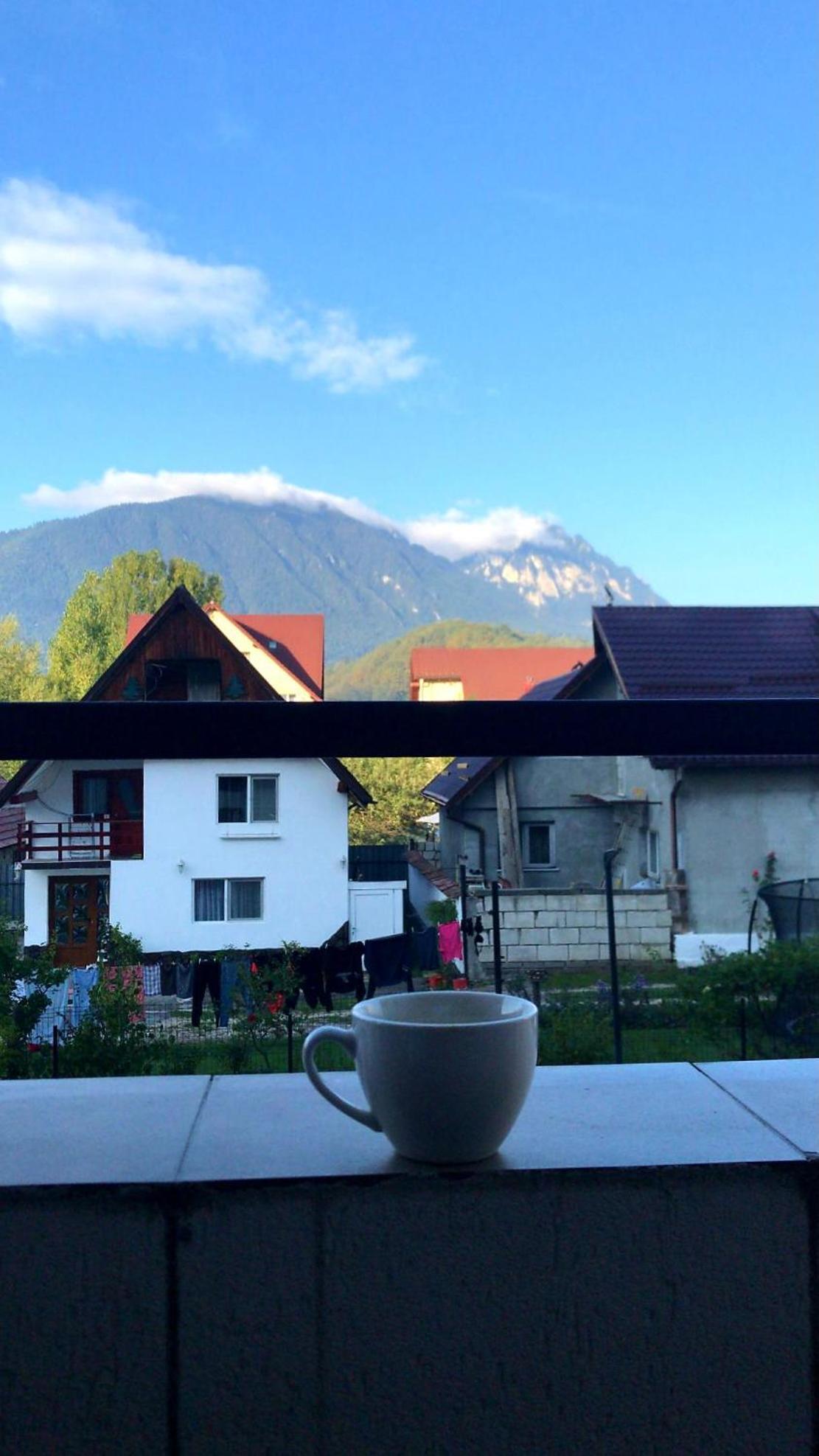 Piatra Craiului Residence Zarnesti Luaran gambar